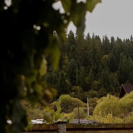 ліза Kwatera prywatna *